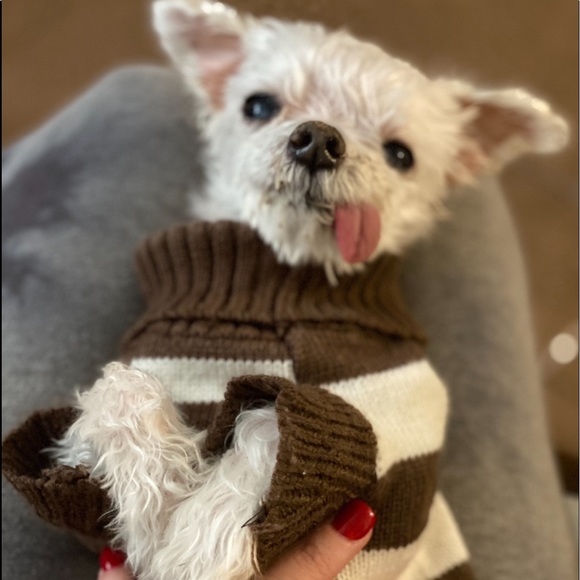 Meet your Posher, Tara - Picture 3 of 8